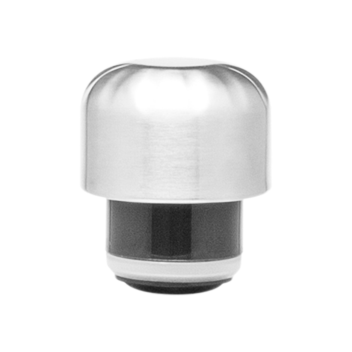 Stainless Steel Water Bottle (17oz)